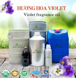 Tinh dầu hoa Violet Oil - Tinh Dầu Thiên Nhiên Oil Care - Công Ty TNHH Oil Care