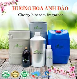 Tinh dầu hoa anh đào Cherry Blossom Oil - Tinh Dầu Thiên Nhiên Oil Care - Công Ty TNHH Oil Care