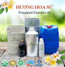Tinh dầu hoa sứ Frangipani Oil - Tinh Dầu Thiên Nhiên Oil Care - Công Ty TNHH Oil Care