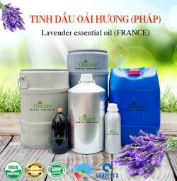 Tinh dầu oải hương Pháp - Tinh Dầu Thiên Nhiên Oil Care - Công Ty TNHH Oil Care