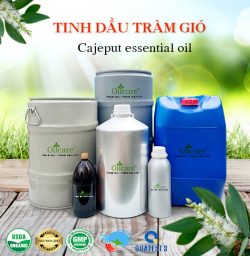 Tinh dầu tràm gió - Tinh Dầu Thiên Nhiên Oil Care - Công Ty TNHH Oil Care