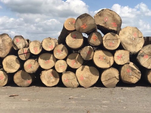 Ván Veneer Thịnh Phát Tân Uyên – Công Ty TNHH Thương Mại Và Sản Xuất Gỗ Thịnh Phát Tân Uyên