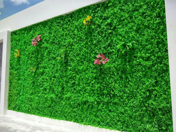 Tường cỏ nhân tạo - Công Ty TNHH Đầu Tư  Xây Dựng HP Group