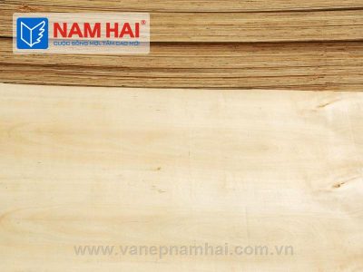 Công Ty TNHH SX Và TM Nam Hải
