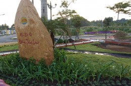 Thi công cảnh quan công viên khu dân cư Bason - Dịch Vụ Cây Xanh Vanda - Công Ty TNHH Tư Vấn Thiết Kế Cảnh Quan Vanda