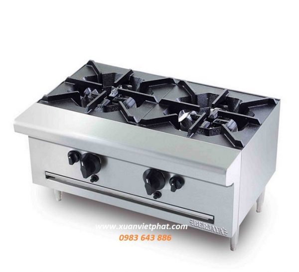 Bếp Âu 2 họng