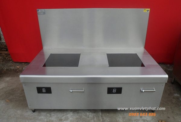 Bếp từ công nghiệp đôi