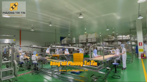 Dây chuyền băng tải vận chuyển và kiểm tra hạt điều - Băng Tải Phương Trí Tín - Công Ty TNHH Cơ Khí Chế Tạo Phương Trí Tín