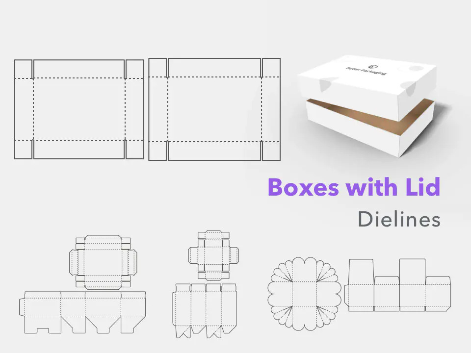 Khuôn mẫu Boxes