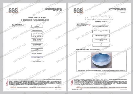 SGS - Nhôm Dinostar - Công Ty Cổ Phần Nhôm Ngọc Diệp