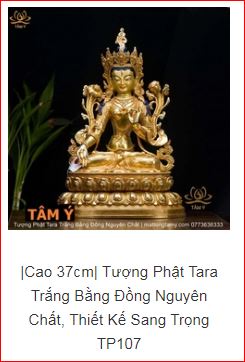 Cửa hàng Văn Hóa phẩm Phật Giáo Tâm ý