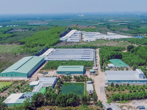 Công ty TNHH Chăn Nuôi Tafa Việt - Máy Phát Điện Hữu Toàn - Công Ty TNHH Hữu Toàn Group
