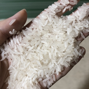 Gạo JASMINE xuất khẩu
