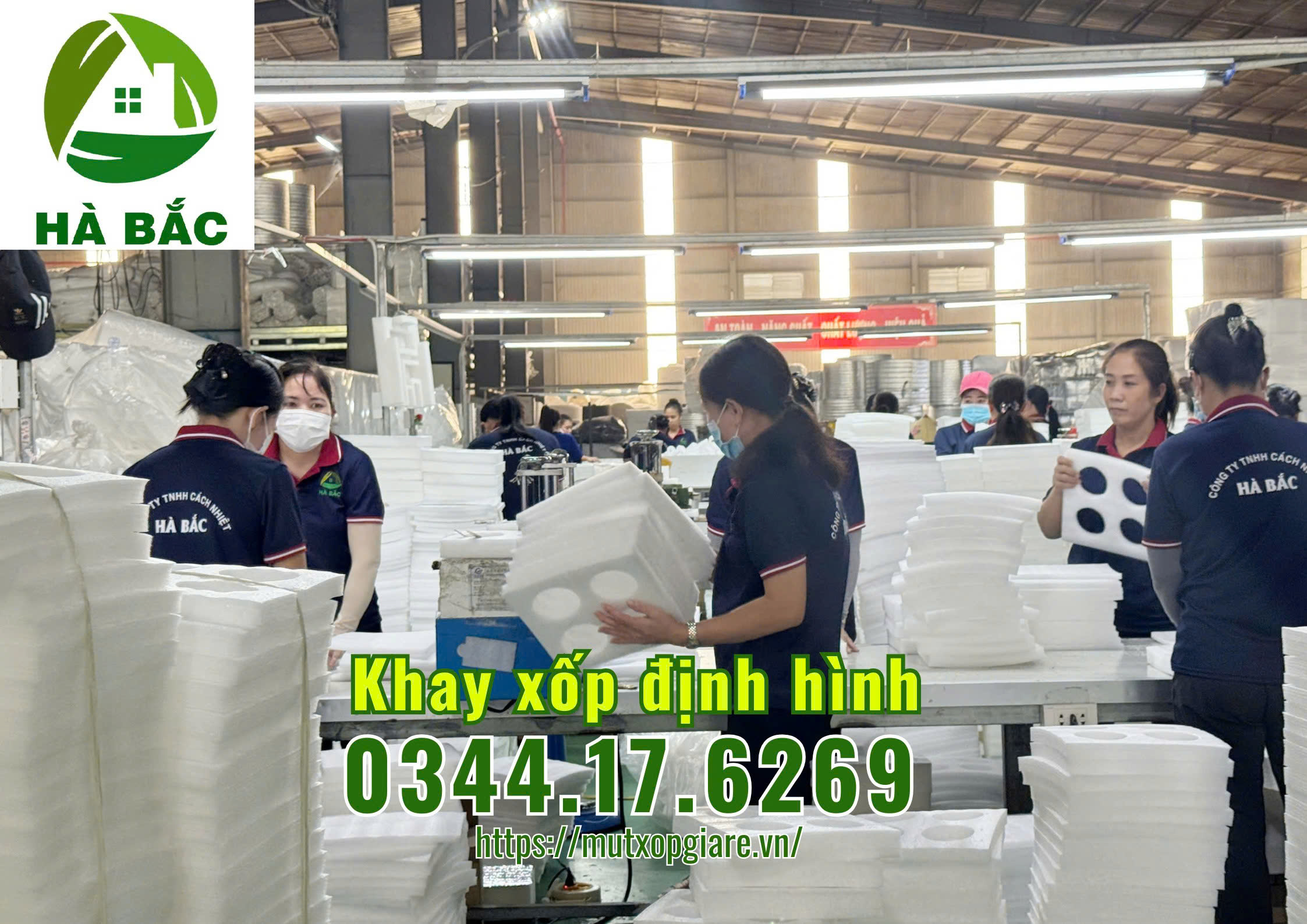 Khay xốp định hình