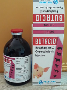Butacid - Công Ty Cổ Phần Thuốc Thú Y Nguyên Anh