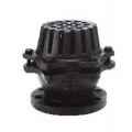 Cast Iron 10K Foot valve