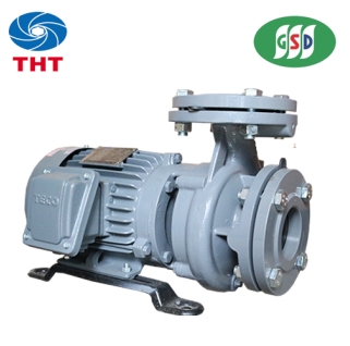 Bơm ly tâm trục ngang đầu gang GSD G31-40-2P 1HP 750W - Máy Bơm Nước Thuận Hiệp Thành