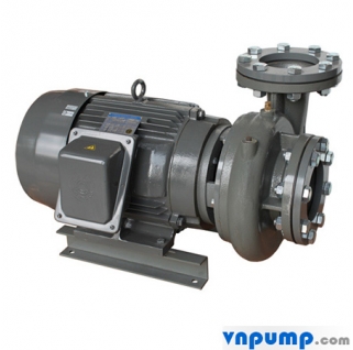 Bơm trục ngang đầu gang Evergush CP 2.75 1HP 380V