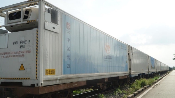Vận chuyển hàng đông lạnh - Proship Logistics - Công Ty Cổ Phần Proship