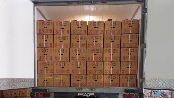 Vận chuyển hàng đông lạnh - Proship Logistics - Công Ty Cổ Phần Proship