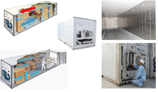 Vận tải hàng hóa bằng container - Proship Logistics - Công Ty Cổ Phần Proship