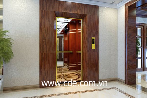 Thang máy các loại