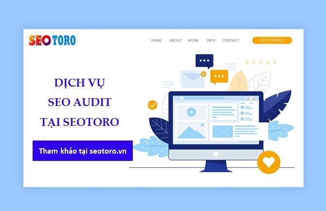 Dịch vụ SEO Audit Seotoro