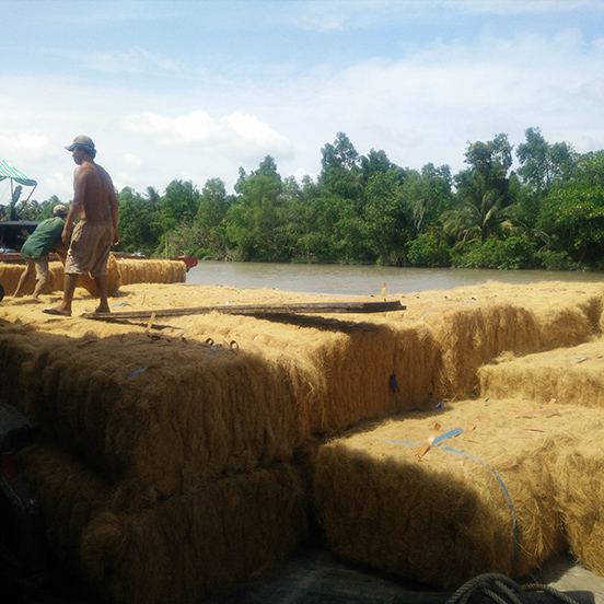 Chỉ xơ dừa