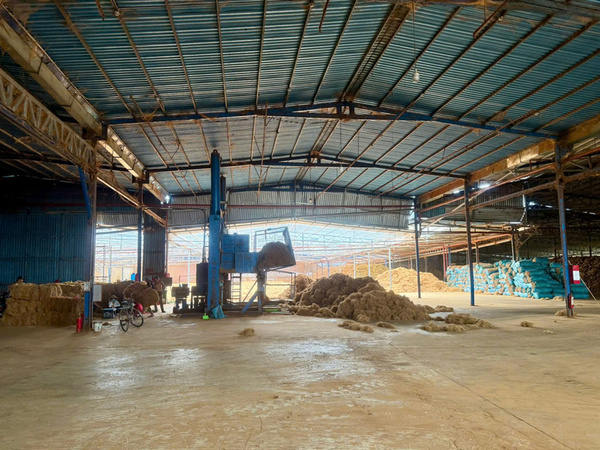 Công ty Nông Sản Sao Việt