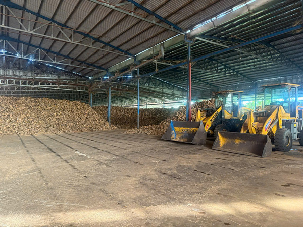 Công ty Nông Sản Sao Việt