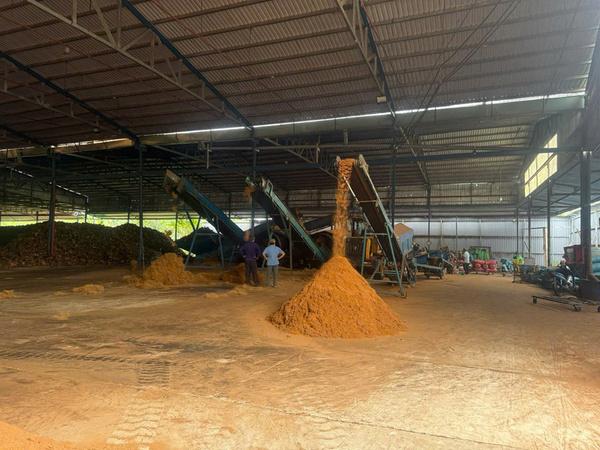 Công ty Nông Sản Sao Việt