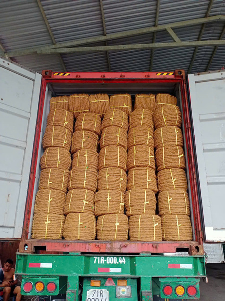 Công ty Nông Sản Sao Việt