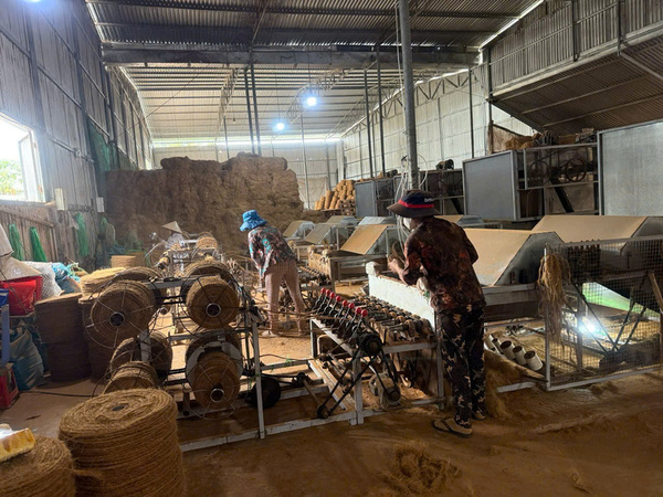 Công ty Nông Sản Sao Việt