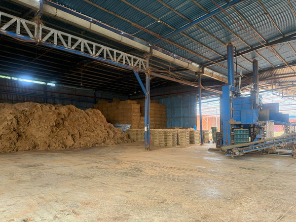 Công ty Nông Sản Sao Việt