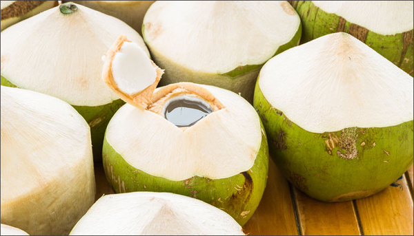 Dừa trái