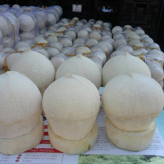 Dừa trái