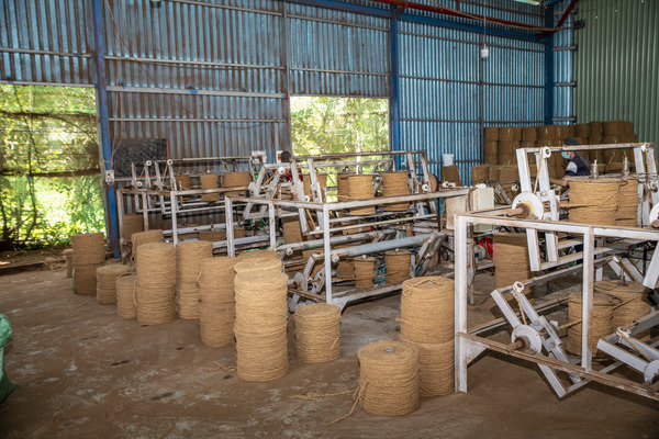 Dây xơ dừa