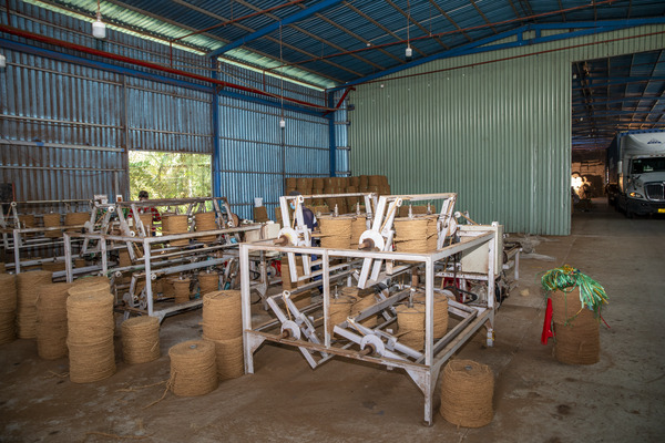 Dây xơ dừa