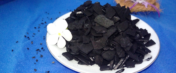 Than gáo dừa dạng hạt