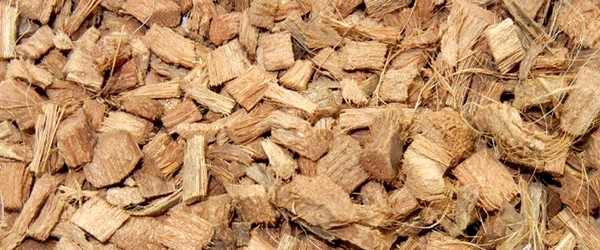 Vỏ dừa cắt