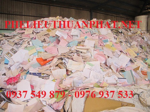 Thu mua phế liệu giấy
