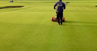 Cho thuê máy cắt cỏ - Thiết Kế Cảnh Quan & Cây Xanh Đại Hưng Landscape - Công Ty TNHH Xây Dựng Dịch Vụ Đại Hưng Landscape