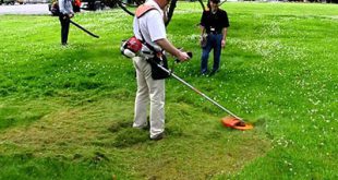 Dịch vụ cắt cỏ - Công Ty TNHH Xây Dựng Dịch Vụ Đại Hưng Landscape