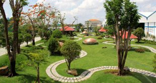 Thi công tường cây xanh - Công Ty TNHH Xây Dựng Dịch Vụ Đại Hưng Landscape