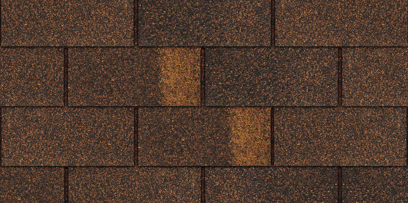 Cana đồng phẳng Light Brown