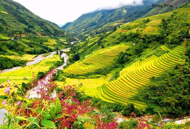 Tour Sapa-Cát Cát-Hàm Rồng-Fansipan