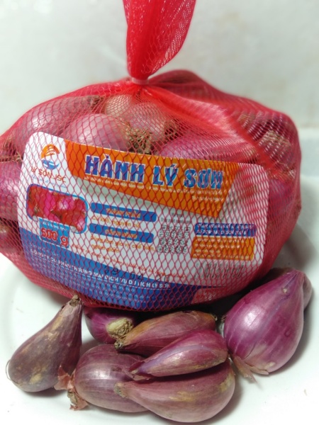 Hành Lý Sơn