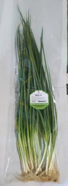 Hành lá