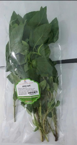 Húng quế