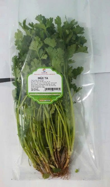 Ngò rí